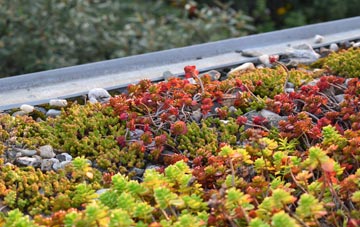 the cost of Westbourne Green green roof installation
